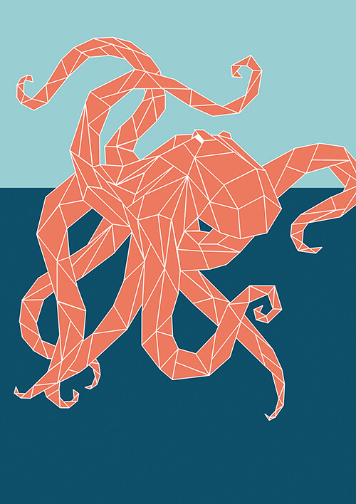 Poster Octopus